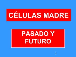 2
CÉLULAS MADRE
PASADO Y
FUTURO
 