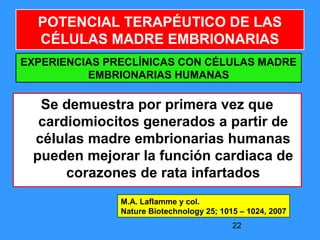 22
POTENCIAL TERAPÉUTICO DE LAS
CÉLULAS MADRE EMBRIONARIAS
EXPERIENCIAS PRECLÍNICAS CON CÉLULAS MADRE
EMBRIONARIAS HUMANAS
Se demuestra por primera vez que
cardiomiocitos generados a partir de
células madre embrionarias humanas
pueden mejorar la función cardiaca de
corazones de rata infartados
M.A. Laflamme y col.
Nature Biotechnology 25; 1015 – 1024, 2007
 