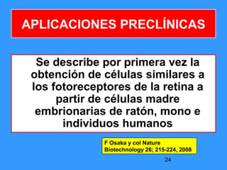 24
APLICACIONES PRECLÍNICAS
Se describe por primera vez la
obtención de células similares a
los fotoreceptores de la retina a
partir de células madre
embrionarias de ratón, mono e
individuos humanos
F Osaka y col Nature
Biotechnology 26; 215-224, 2008
 