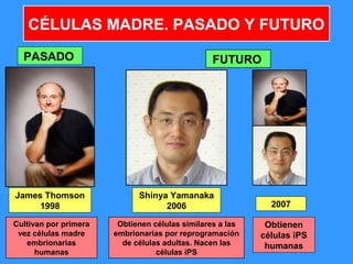 3
CÉLULAS MADRE. PASADO Y FUTURO
PASADO FUTURO
Cultivan por primera
vez células madre
embrionarias
humanas
Obtienen células similares a las
embrionarias por reprogramación
de células adultas. Nacen las
células iPS
Shinya Yamanaka
2006
James Thomson
1998 2007
Obtienen
células iPS
humanas
 