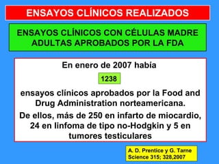 32
ENSAYOS CLÍNICOS CON CÉLULAS MADRE
ADULTAS APROBADOS POR LA FDA
En enero de 2007 había
ensayos clínicos aprobados por la Food and
Drug Administration norteamericana.
De ellos, más de 250 en infarto de miocardio,
24 en linfoma de tipo no-Hodgkin y 5 en
tumores testiculares
A. D. Prentice y G. Tarne
Science 315; 328,2007
ENSAYOS CLÍNICOS REALIZADOS
1238
 