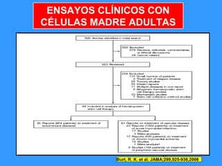 37
ENSAYOS CLÍNICOS CON
CÉLULAS MADRE ADULTAS
Burt, R. K. et al. JAMA;299,925-936,2008
 