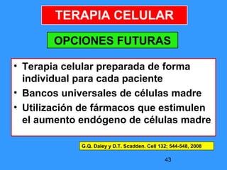 43
TERAPIA CELULAR
• Terapia celular preparada de forma
individual para cada paciente
• Bancos universales de células madre
• Utilización de fármacos que estimulen
el aumento endógeno de células madre
G.Q. Daley y D.T. Scadden. Cell 132; 544-548, 2008
OPCIONES FUTURAS
 
