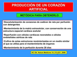 48
PRODUCCIÓN DE UN CORAZÓN
ARTIFICIAL
METÓDICA PARA OBTENERLO
•Descelularización de corazones de cadáver de rata por perfusión
con detergentes
•Mantenimiento de la matriz extracelular, con conservación de una
estructura espacial cardiaca acelular
•Reperfusión con células cardiacas neonatales o células
endoteliales aórticas de rata
•Cultivo de estas estructuras recelularizadas en un medio similar
al que se utiliza para el mantenimiento de órganos
•Mantenimiento de la perfusión durante 28 días
HC Ott. Nature Medicine 14; 213-221, 2008
 