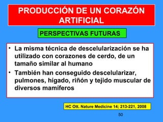50
• La misma técnica de descelularización se ha
utilizado con corazones de cerdo, de un
tamaño similar al humano
• También han conseguido descelularizar,
pulmones, hígado, riñón y tejido muscular de
diversos mamíferos
PRODUCCIÓN DE UN CORAZÓN
ARTIFICIAL
PERSPECTIVAS FUTURAS
HC Ott. Nature Medicine 14; 213-221, 2008
 