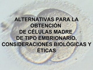 51
ALTERNATIVAS PARA LAALTERNATIVAS PARA LA
OBTENCIÓNOBTENCIÓN
DE CÉLULAS MADREDE CÉLULAS MADRE
DE TIPO EMBRIONARIO.DE TIPO EMBRIONARIO.
CONSIDERACIONES BIOLÓGICAS YCONSIDERACIONES BIOLÓGICAS Y
ÉTICASÉTICAS
 