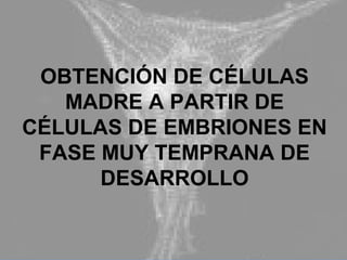 56
OBTENCIÓN DE CÉLULAS
MADRE A PARTIR DE
CÉLULAS DE EMBRIONES EN
FASE MUY TEMPRANA DE
DESARROLLO
 