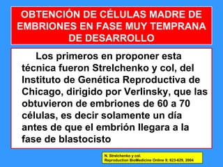 58
OBTENCIÓN DE CÉLULAS MADRE DE
EMBRIONES EN FASE MUY TEMPRANA
DE DESARROLLO
Los primeros en proponer esta
técnica fueron Strelchenko y col, del
Instituto de Genética Reproductiva de
Chicago, dirigido por Verlinsky, que las
obtuvieron de embriones de 60 a 70
células, es decir solamente un día
antes de que el embrión llegara a la
fase de blastocisto
N. Strelchenko y col.
Reproduction BioMedicine Online 9; 623-629, 2004
 
