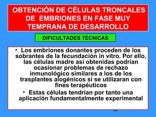 60
OBTENCIÓN DE CÉLULAS TRONCALES
DE EMBRIONES EN FASE MUY
TEMPRANA DE DESARROLLO
• Los embriones donantes proceden de los
sobrantes de la fecundación in vitro. Por ello,
las células madre así obtenidas podrían
ocasionar problemas de rechazo
inmunológico similares a los de los
trasplantes alogénicos si se utilizaran con
fines terapéuticos
• Estas células tendrían por tanto una
aplicación fundamentalmente experimental
DIFICULTADES TÉCNICAS
 