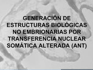 61
GENERACIÓN DE
ESTRUCTURAS BIOLÓGICAS
NO EMBRIONARIAS POR
TRANSFERENCIA NUCLEAR
SOMÁTICA ALTERADA (ANT)
 
