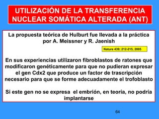 64
UTILIZACIÓN DE LA TRANSFERENCIA
NUCLEAR SOMÁTICA ALTERADA (ANT)
La propuesta teórica de Hulburt fue llevada a la práctica
por A. Meissner y R. Jaenish
En sus experiencias utilizaron fibroblastos de ratones que
modificaron genéticamente para que no pudieran expresar
el gen Cdx2 que produce un factor de trascripción
necesario para que se forme adecuadamente el trofoblasto
Si este gen no se expresa el embrión, en teoría, no podría
implantarse
Nature 439; 212-215, 2005
 
