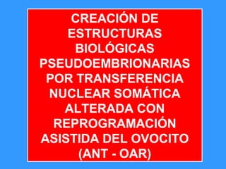 67
CREACIÓN DE
ESTRUCTURAS
BIOLÓGICAS
PSEUDOEMBRIONARIAS
POR TRANSFERENCIA
NUCLEAR SOMÁTICA
ALTERADA CON
REPROGRAMACIÓN
ASISTIDA DEL OVOCITO
(ANT - OAR)
 