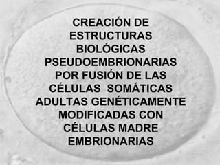 69
CREACIÓN DE
ESTRUCTURAS
BIOLÓGICAS
PSEUDOEMBRIONARIAS
POR FUSIÓN DE LAS
CÉLULAS SOMÁTICAS
ADULTAS GENÉTICAMENTE
MODIFICADAS CON
CÉLULAS MADRE
EMBRIONARIAS
 