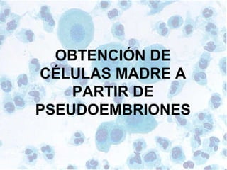 74
OBTENCIÓN DE
CÉLULAS MADRE A
PARTIR DE
PSEUDOEMBRIONES
 