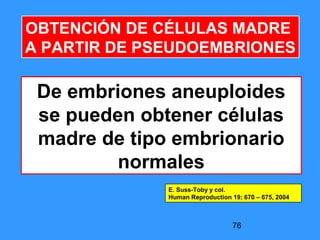 76
OBTENCIÓN DE CÉLULAS MADRE
A PARTIR DE PSEUDOEMBRIONES
De embriones aneuploides
se pueden obtener células
madre de tipo embrionario
normales
E. Suss-Toby y col.
Human Reproduction 19; 670 – 675, 2004
 