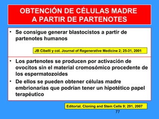 77
• Se consigue generar blastocistos a partir de
partenotes humanos
OBTENCIÓN DE CÉLULAS MADRE
A PARTIR DE PARTENOTES
• Los partenotes se producen por activación de
ovocitos sin el material cromosómico procedente de
los espermatozoides
• De ellos se pueden obtener células madre
embrionarias que podrían tener un hipotético papel
terapéutico
Editorial. Cloning and Stem Cells 9; 291, 2007
JB Cibelli y col. Journal of Regenerative Medicine 2; 25-31, 2001
 
