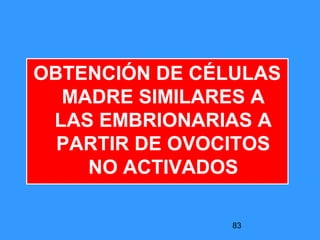 83
OBTENCIÓN DE CÉLULAS
MADRE SIMILARES A
LAS EMBRIONARIAS A
PARTIR DE OVOCITOS
NO ACTIVADOS
 