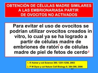 87
Para evitar el uso de ovocitos se
podrían utilizar ovocitos creados in
vitro, lo cual ya se ha logrado a
partir de células madre de
embriones de ratón o de células
madre de piel de fetos de cerdo
OBTENCIÓN DE CÉLULAS MADRE SIMILARES
A LAS EMBRIONARIASA PARTIR
DE OVOCITOS NO ACTIVADOS
1
2
1. K Hulner y col Science 300; 1251-1256, 2003
2. P W Dyce y col Nature Cell Biology 8; 384-390, 2006
 