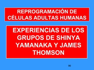 96
REPROGRAMACIÓN DE
CÉLULAS ADULTAS HUMANAS
EXPERIENCIAS DE LOS
GRUPOS DE SHINYA
YAMANAKA Y JAMES
THOMSON
 