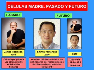 97
CÉLULAS MADRE. PASADO Y FUTURO
PASADO FUTURO
Cultivan por primera
vez células madre
embrionarias
humanas
Obtienen células similares a las
embrionarias por reprogramación
de células adultas. Nacen las
células iPS
Shinya Yamanaka
2006
James Thomson
1998 2007
Obtienen
células iPS
humanas
 