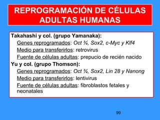 99
REPROGRAMACIÓN DE CÉLULAS
ADULTAS HUMANAS
Takahashi y col. (grupo Yamanaka):
Genes reprogramados: Oct ¾, Sox2, c-Myc y Klf4
Medio para transferirlos: retrovirus
Fuente de células adultas: prepucio de recién nacido
Yu y col. (grupo Thomson):
Genes reprogramados: Oct ¾, Sox2, Lin 28 y Nanong
Medio para transferirlos: lentivirus
Fuente de células adultas: fibroblastos fetales y
neonatales
 