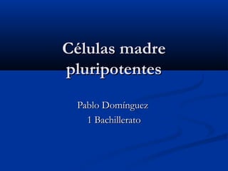 Células madre
pluripotentes
Pablo Domínguez
1 Bachillerato

 
