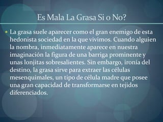Es Mala La Grasa Si o No?
 La grasa suele aparecer como el gran enemigo de esta
hedonista sociedad en la que vivimos. Cuando alguien
la nombra, inmediatamente aparece en nuestra
imaginación la figura de una barriga prominente y
unas lonjitas sobresalientes. Sin embargo, ironía del
destino, la grasa sirve para extraer las células
mesenquimales, un tipo de célula madre que posee
una gran capacidad de transformarse en tejidos
diferenciados.
 