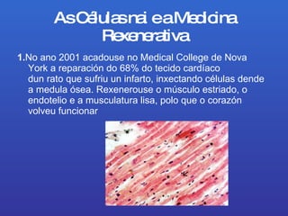 As Células nai e a Medicina Rexenerativa 1. No ano2001acadouse no Medical College deNova Yorka reparación do 68% do tecido cardíaco dunratoque sufriu un infarto, inxectando células dende a medula ósea. Rexenerouse o músculo estriado, o endotelio e a musculatura lisa, polo que o corazón volveu funcionar 