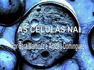 AS CÉLULAS NAI Por Sara Martínez e Araceli Domínguez 