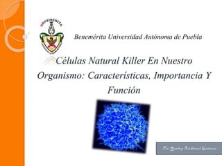 Células Natural Killer En Nuestro
Organismo: Características, Importancia Y
Función
Benemérita Universidad Autónoma de Puebla
Por:Yuselmy XochitemolGutiérrez
 