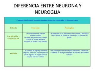 DIFERENCIA ENTRE NEURONA Y NEUROGLIA - Transporte de impulsos nerviosos, nutrición, protección y reparación el sistema nervioso. Criterio Neuronas Neuroglías Localización y característica  - Se presentan en el sistema nervioso central - Poseen una parte dilata (cuerpo celular) en la cual podemos encontrar un núcleo y dos fibrillas - Se presentan en el sistema nervioso central y periférico. - Esta células se forman se forman por el conjunto de gliales. Función - Se encarga de captar y transmitir impulsos nerviosos electroquímicos desde el punto de origen hasta el sistema nervioso central. - De sostén ya que no hay tejido conjuntivo, y nutrición. - También se encarga de reparar las lesiones del sistema nervioso 