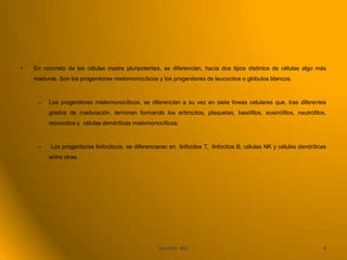 •   En concreto de las células madre pluripotentes, se diferencian, hacia dos tipos distintos de células algo más
    maduras. Son los progenitores mielomonocíticos y los progenitores de leucocitos o glóbulos blancos.



     –   Los progenitores mielomonocíticos, se diferencian a su vez en siete líneas celulares que, tras diferentes
         grados de maduración, terminan formando los eritrocitos, plaquetas, basófilos, eosinófilos, neutrófilos,
         monocitos y células dendríticas mielomonocíticas.



     –    Los progenitores linfociticos, se diferenciaran en linfocitos T, linfocitos B, células NK y células dendríticas
         entre otras.




                                                     Sección: 402                                                      4
 