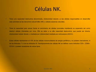 Células NK.
•   Tiene una capacidad destructiva denominada, citotoxicidad natural y a las células responsables en desarrollar
    esta actividad se las denominó natural killer (NK) o células asesinas naturales.



•   Tiene la capacidad para actuar frente al crecimiento de células tumorales impidiendo su expansión así como
    destruir células infectadas por virus. Ello se debe a su alta capacidad destructora, que puede ser directa,
    citotoxicidad celular directa o mediada por citotoxicidad mediada por anticuerpos (ADCC).



•   Estas células representan el 10% de las células mononucleares de sangre periférica y no poseen marcadores, ni
    de los linfocitos T ni de los linfocitos B. Fenotípicamente las células NK se definen como linfocitos CD3-, CD56+,
    CD16+ y poseen receptores de varios tipos.




                                                     Sección: 402                                                   8
 