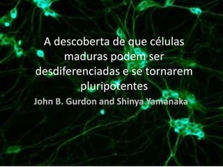 A descoberta de que células
maduras podem ser
desdiferenciadas e se tornarem
pluripotentes
John B. Gurdon and Shinya Yamanaka