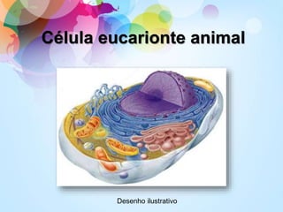 Célula eucarionte animal
Desenho ilustrativo
 