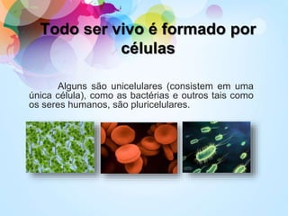 Todo ser vivo é formado por
células
Alguns são unicelulares (consistem em uma
única célula), como as bactérias e outros tais como
os seres humanos, são pluricelulares.
 