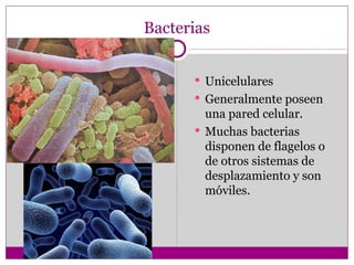 Bacterias


       Unicelulares
       Generalmente poseen
        una pared celular.
       Muchas bacterias
        disponen de flagelos o
        de otros sistemas de
        desplazamiento y son
        móviles.
 