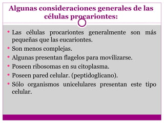 Algunas consideraciones generales de las
         células procariontes:

 Las células procariontes generalmente son más
    pequeñas que las eucariontes.
   Son menos complejas.
   Algunas presentan flagelos para movilizarse.
   Poseen ribosomas en su citoplasma.
   Poseen pared celular. (peptidoglicano).
   Sólo organismos unicelulares presentan este tipo
    celular.
 