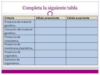 Completa la siguiente tabla
 