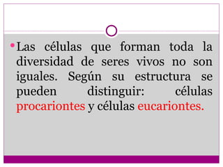  Las células que forman toda la
 diversidad de seres vivos no son
 iguales. Según su estructura se
 pueden       distinguir:      células
 procariontes y células eucariontes.
 