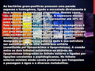 As bactérias gram-positivas possuem uma parede
espessa e homogénea, ligada e encostada diretamente à
face externa da membrana plasmática. Nestes casos,
não existe espaço periplasmático. A espessura destas
paredes pode atingir 100 mm e representar até 30% do
peso seco da célula.
Pelo contrário, a parede das bactérias gram-negativas é
formada por dois folhetos: o folheto interno, constituído
por uma delgada camada do complexo de peptidoglicano
(não excedendo 20 mm de espessura) e não encostado à
membrana plasmática; o folheto externo, também
designado por membrana externa dada a sua estrutura
ser semelhante à de uma membrana unitária
(constituída por liposacáridos e lipoproteínas). A coesão
entre os dois folhetos estabelece-se através de
lipoproteínas integradas no folheto externo e ligadas por
ligações covalentes a peptidoglicanos. No folheto
externo existem ainda canais proteicos que franqueiam
a passagem à água e a diversos metabolitos.
 