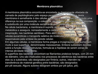 Membrana plasmática
A membrana plasmática encontra-se encostada ou ligeiramente afastada da
camada de peptidoglicano pelo espaço periplasmático. A estrutura desta
membrana é semelhante à das células eucarióticas, registando-se contudo uma
diferença na sua composição: o colesterol, geralmente ausente nos procariontes,
é substituído por uma molécula semelhante a um esteroide, um hopanoide.
Na célula bacteriana, a membrana é suporte de grande parte da atividade
metabólica e assegura, nomeadamente a cadeia da fosforilação oxidativa
(respiração, nas bactérias aeróbias). Para além disso, assegura, como nas
células eucarióticas o transporte seletivo de moléculas e a saída dos enzimas
responsáveis pela síntese da parede celular.
Em algumas células, a membrana forma pregas e invaginações que aumentam
muito a sua superfície, denominadas mesossomas. Embora subsistam dúvidas
sobre a função dessas estruturas, formula-se a hipótese de serem zonas de
intensa atividade respiratória.
À superfície das bactérias encontram-se filamentos proteicos longos, com 20 mm
de diâmetro. Uns são implicados nos processos de aderência das bactérias entre
elas ou a substratos; são designados por fímbria; outros, intervêm na
transferência de material genético entre bactérias; são designados
por pili sexuais. Alguns autores designam ambos por pili (pilus, pili).
 