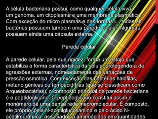 A célula bacteriana possui, como qualquer célula viva,
um genoma, um citoplasma e uma membrana plasmática.
Com exceção do micro plasmas e das formas L., todas as
bactérias possuem também uma parede celular. Algumas
possuem ainda uma cápsula externa.
Parede celular
A parede celular, pela sua rigidez, forma um estojo que
estabiliza a forma característica da célula, protegendo-a de
agressões externas, nomeadamente das variações de
pressão osmótica. Com exceção das bactérias halófilas,
metano gênicas ou temoacidífilas (que se classificam como
Arqueobactérias), o composto principal da parede bacteriana
é o peptidoglicano. O peptidoglicano constitui assim o
monómero de uma densa rede macromolecular. É composto,
ele próprio, pela N-acetilglucosamina e pelo ácido N-
acetilmurâmico, associados a aminoácidos em quantidades
 
