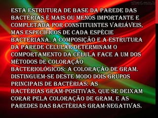 Esta estrutura de base da parede das
bactérias é mais ou menos importante e
completada por constituintes variáveis,
mas específicos de cada espécie
bacteriana. A composição e a estrutura
da parede celular determinam o
comportamento da célula face a um dos
métodos de coloração
bacteriológicos: a coloração de Gram.
Distinguem-se deste modo dois grupos
principais de bactérias: as
bactérias gram-positivas, que se deixam
corar pela coloração de Gram, e as
paredes das bactérias gram-negativas.
 