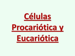 Células
Procariótica y
 Eucariótica
 