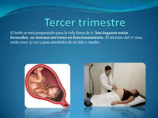 El bebé se está preparando para la vida fuera de ti. Sus órganos están
formados, su sistema nervioso en funcionamiento. Al término del 7º mes,
mide unos 37 cm y pesa alrededor de un kilo y medio.
 