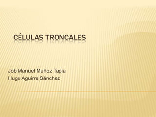 CÉLULAS TRONCALES



Job Manuel Muñoz Tapia
Hugo Aguirre Sánchez
 