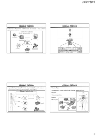 28/09/2009




                        CÉLULAS TRONCO                                                                  CÉLULAS TRONCO
 Embrionária (Pluripotente): indiferenciada, dá origem a tipos celulares
especializados variáveis.




                        CÉLULAS TRONCO                                                                  CÉLULAS TRONCO
   Adulta (Multipotente): indiferenciada de um tecido diferenciado, renova-se    Adulta – Tipos:
 e diferencia-se numa célula especializada do tecido original.
                                                                                • Hematopoiética (medula óssea, cordão umbilical, sangue periférico)

                                                                                • Neuronal

                                                                                • Músculo esquelético

                                                                                • Epitelial

                                                                                • Mesenquimal




                                                                                                                                                        2
 