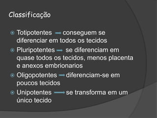 Classificação
 Totipotentes conseguem se
diferenciar em todos os tecidos
 Pluripotentes se diferenciam em
quase todos os tecidos, menos placenta
e anexos embrionarios
 Oligopotentes diferenciam-se em
poucos tecidos
 Unipotentes se transforma em um
único tecido
 