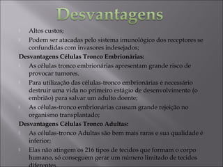  Altos custos;
 Podem ser atacadas pelo sistema imunológico dos receptores se
confundidas com invasores indesejados;
Desvantagens Células Tronco Embrionárias:
 As células tronco embrionárias apresentam grande risco de
provocar tumores.
 Para utilização das células-tronco embrionárias é necessário
destruir uma vida no primeiro estágio de desenvolvimento (o
embrião) para salvar um adulto doente;
 As células-tronco embrionárias causam grande rejeição no
organismo transplantado;
Desvantagens Células Tronco Adultas:
 As células-tronco Adultas são bem mais raras e sua qualidade é
inferior;
 Elas não atingem os 216 tipos de tecidos que formam o corpo
humano, só conseguem gerar um número limitado de tecidos
 